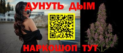 индика Ирбит
