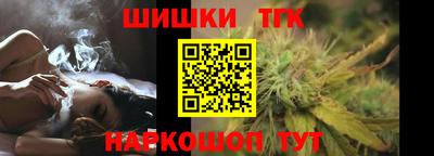 индика Ирбит