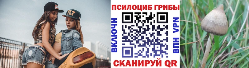 купить наркотик  маркетплейс как зайти  Галлюциногенные грибы GOLDEN TEACHER  Тихорецк 