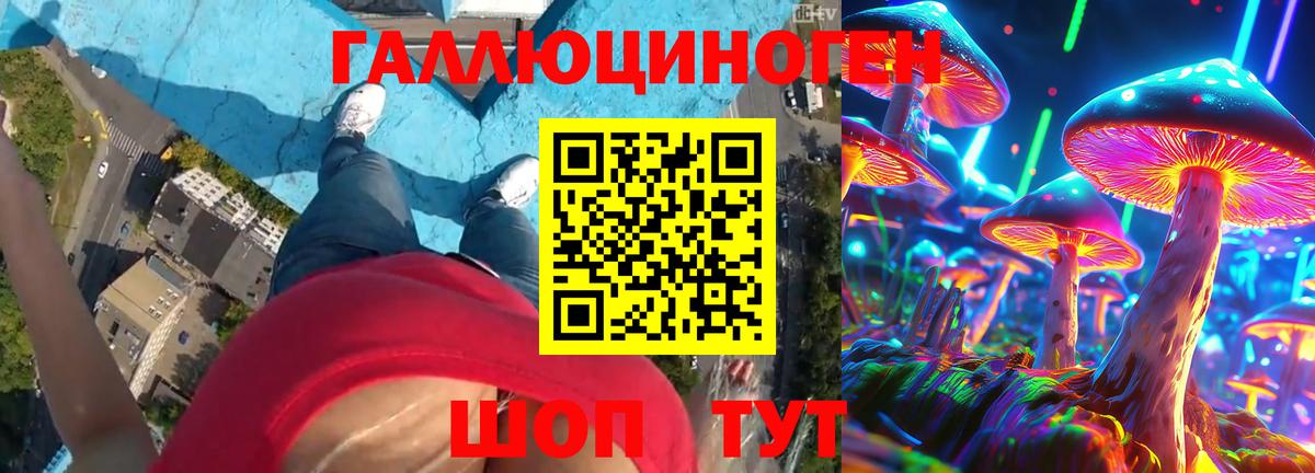 Псилоцибиновые грибы прущие грибы  Псилоцибиновые грибы Psilocybe  Тихорецк  Вход с VPN 
